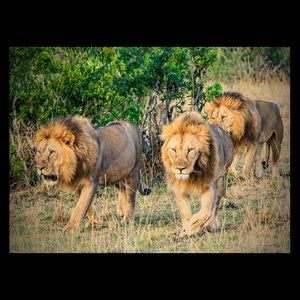 Philosophy/Mission Statement